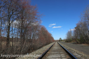 railroad tracks (14 of 21)