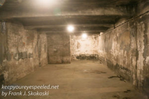 Auschwitz exhibits gas chambers -28